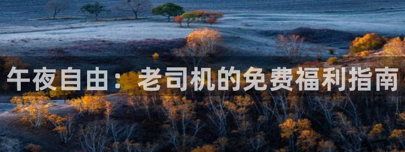 星空影视正版免费下载