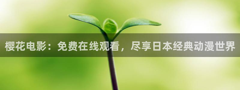外出2樱花视频