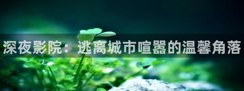 樱花视频免费完整观看