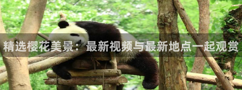 噬星空免费观看全集完整版