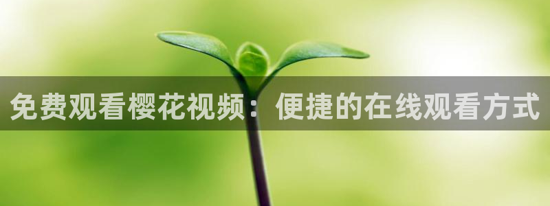 星空影视网下载