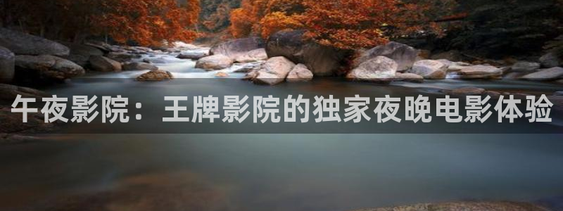樱花视频电视剧免费观看最新