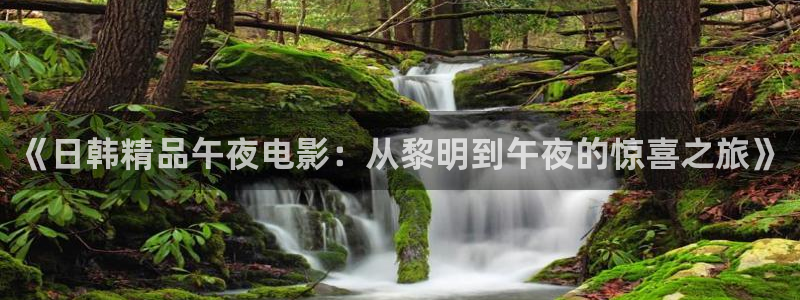 樱花视频免