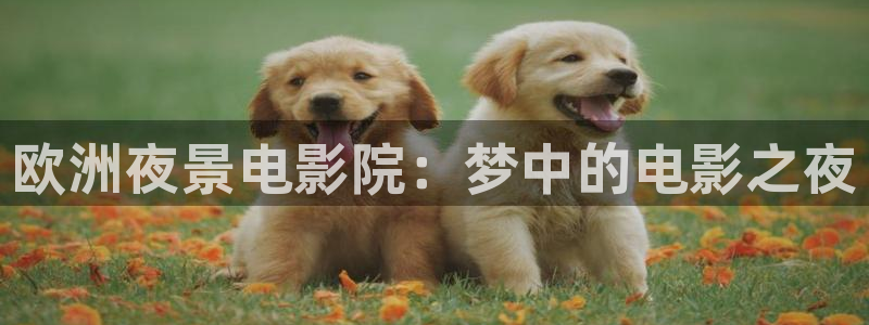 星空影视官网