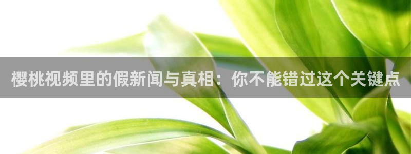 星空影视在线观看免费观看电视
