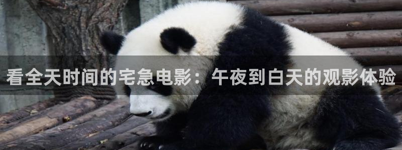 星空影视电视剧在线播放观看