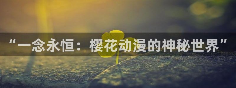 樱花视频2