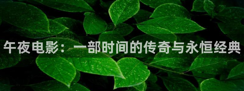 影视星空
