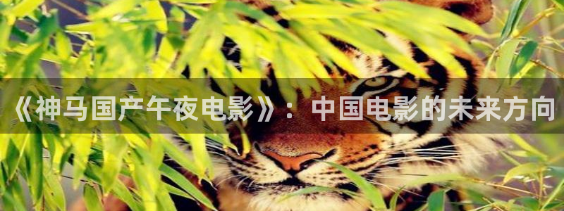星空传媒影视免费观看