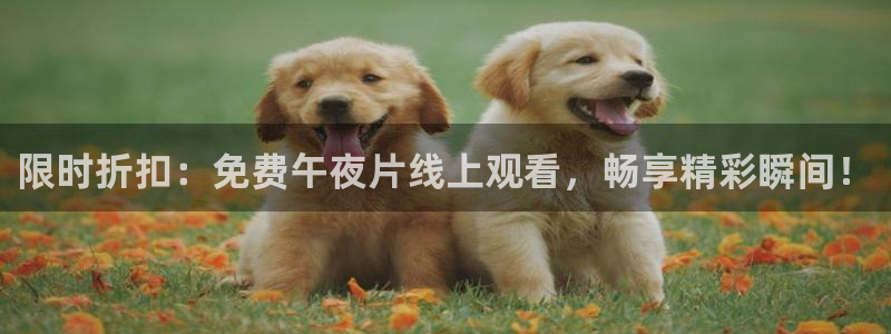 星空影视在线观看免费全集