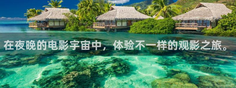 纳雍星空影城