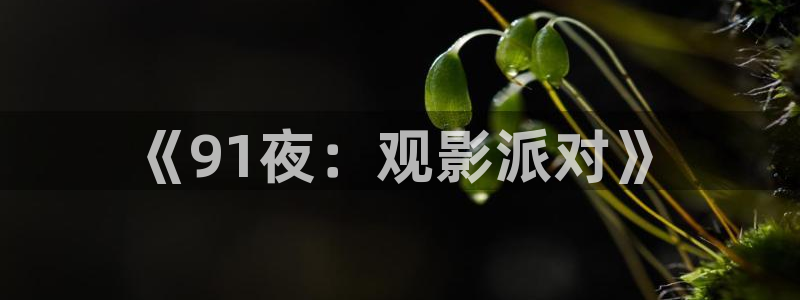 樱花视频电影在线播放免费