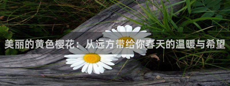 星空免费电影