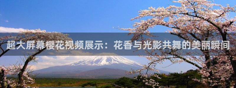 樱花视频免费看全集