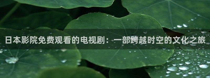 影视星空