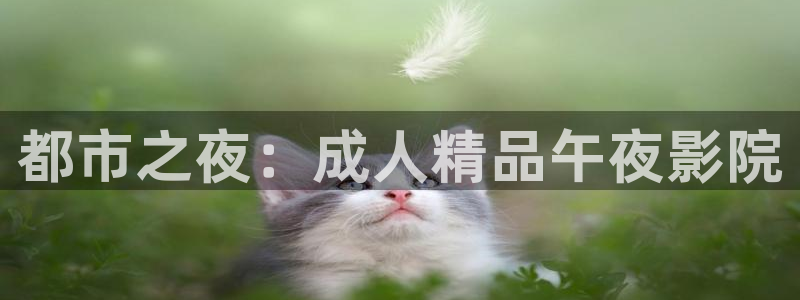 四方馆电视剧樱花视频