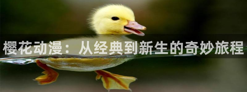星空游戏