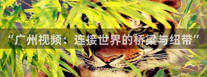 糖心vlog不见星空