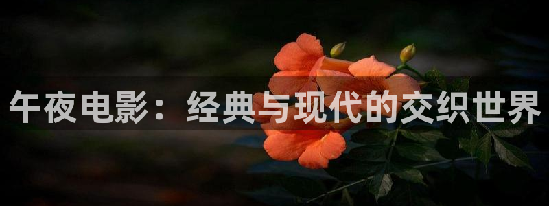 星空影视樱花视频