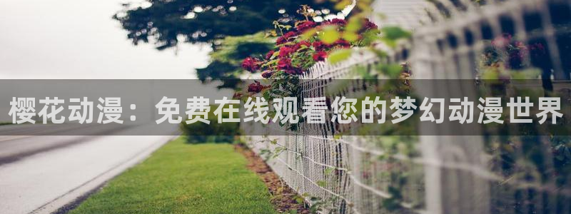 星空传媒免费播放