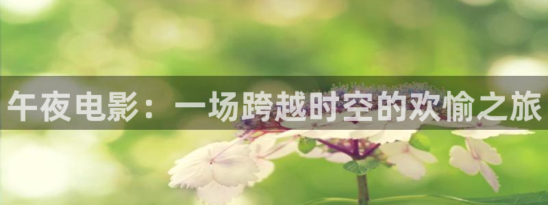 星空影视大全片库