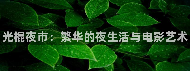 樱花视频电影电视剧免费播放手机版