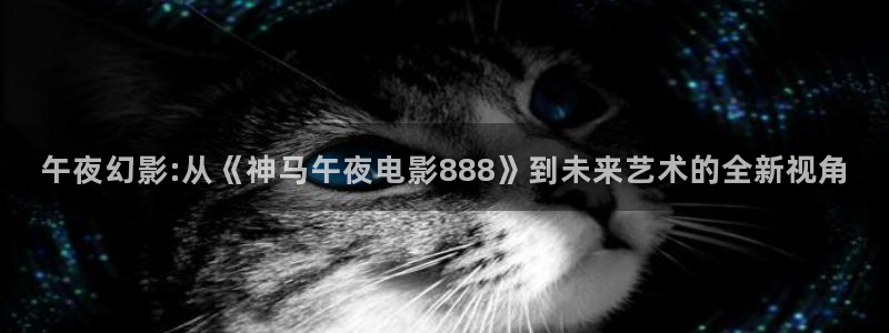 星空视频播放