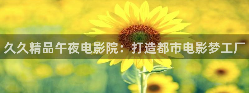 都盛星空的电影在线观看