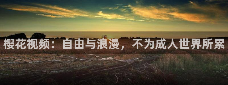 星空无痕mv高清在线观看免费播放