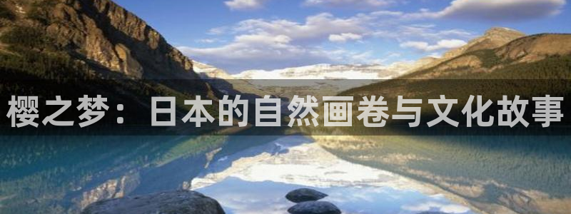 樱花视频在线观看免费播放电影