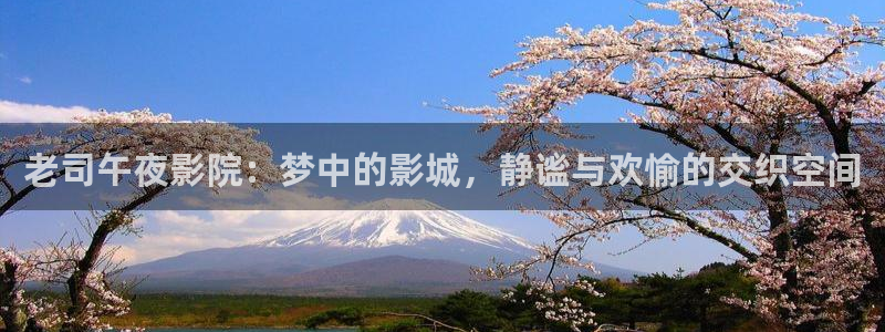 樱花视频追剧就上樱花视频
