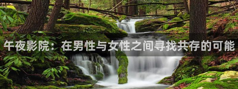 星空mv高清在线播放