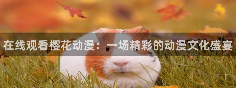 樱花视频在线观看免费全集