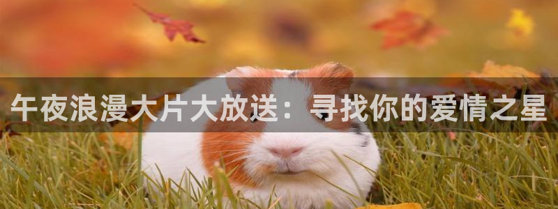 星空视频mv