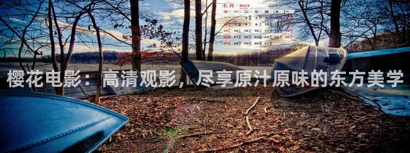 樱花视频是什么