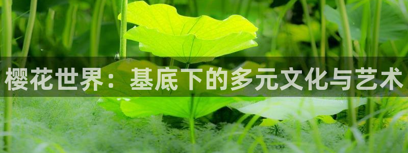 樱花视频高清电影